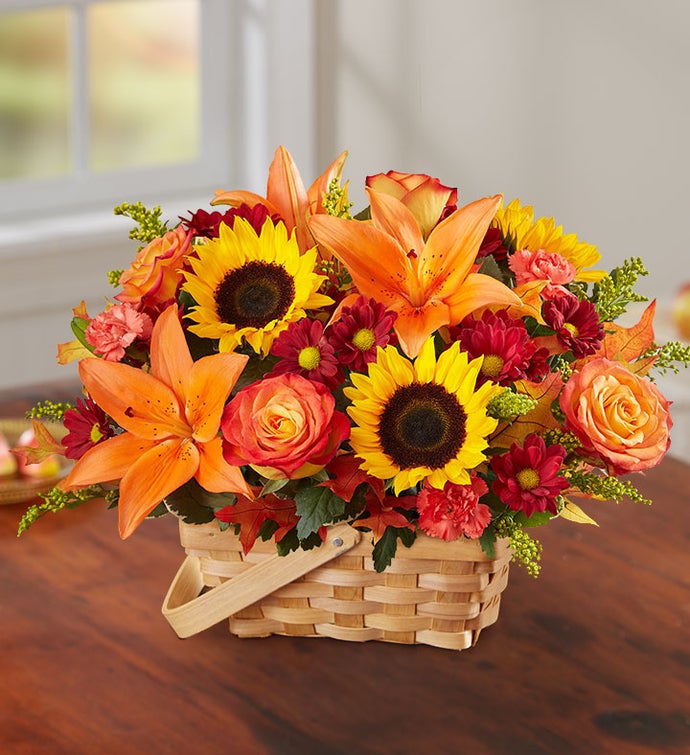 Fields Of Europe® For Fall Basket